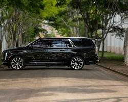 Black Cadillac Escalade on a tree-lined Bay Area street at golden hour